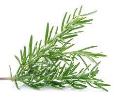 ROSEMARY OIL VS MINOXIDIL…….LET’S GET READY TO RUMBLE!!